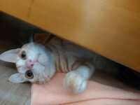 https://images.plurk.com/7J1rL3gDWHvzLxQMH7tEhs.jpg