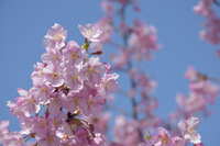 https://images.plurk.com/7J2T4tPZOCDtZrgsuTwfPe.jpg