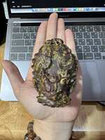 https://images.plurk.com/7J7QEdIjSHVbnAawGR94KN.jpg