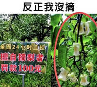 https://images.plurk.com/7J8zHeTRI3eBdIRLXNnpCP.jpg