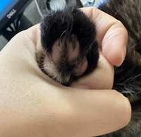 https://images.plurk.com/7JMjISX7BZo7UNd6qXOro7.jpg