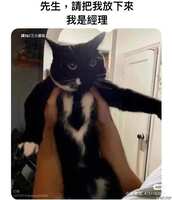 https://images.plurk.com/7JP8ldUn1Fd2NlaP5u9ZxB.jpg