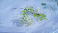 https://images.plurk.com/7JURQgZthuDqV3K54Np88A.jpg