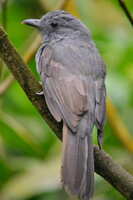 https://images.plurk.com/7JdC9igEXiFgfrdlM8Pw0p.jpg