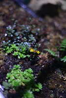 https://images.plurk.com/7K3o9HziAqdPvjMvrEfTbI.jpg