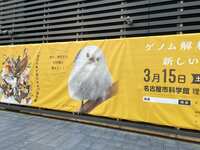 https://images.plurk.com/7K4uGe7qTcWxFQujopCvI2.jpg