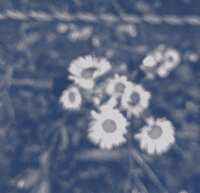 https://images.plurk.com/7K7A7h8EEjO2CRTAy9BTqv.jpg