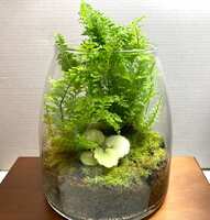 https://images.plurk.com/7K8GEIvUaKpJC5717JJqAI.jpg