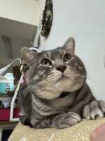 https://images.plurk.com/7K9TtlWnSFkVWiMYjmhbfM.png