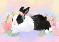 https://images.plurk.com/7KJTDFwhYZBevOD9fbFXVx.png