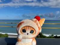 https://images.plurk.com/7KMSD5ZogLMpFuuPMDpevD.jpg