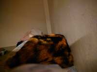 https://images.plurk.com/7KWFfRHfUPS6siq0QVg0f8.jpg