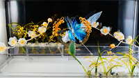 https://images.plurk.com/7KcXyrjvWvgYqS1IdVxaxW.jpg