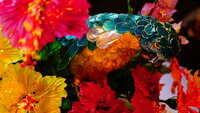 https://images.plurk.com/7KgxCRXtCbsNs7XmbvDRJn.jpg
