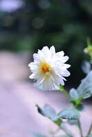 https://images.plurk.com/7KmYNa33GqKTnkhvKatOz.jpg