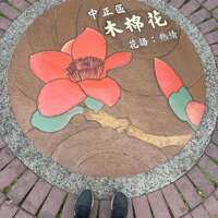 https://images.plurk.com/7Kpt0f2ijs1szgRROqaRB1.jpg