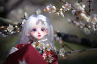 https://images.plurk.com/7KsfWh7rLAMgVfhaXjlM7p.jpg