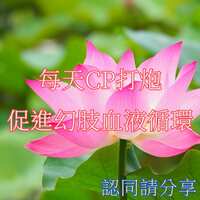 https://images.plurk.com/7L6dnFoQtXx9GmuaxJzuXU.jpg