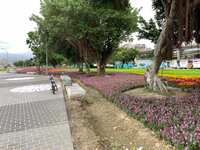 https://images.plurk.com/7LGnd4QxIUC4hP6RjgXJ3L.jpg