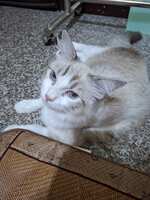 https://images.plurk.com/7LJk8qeX9YXWn0MsX79PqI.jpg