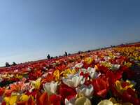 https://images.plurk.com/7LNUvl1G8BsU6dCXl9tHqu.jpg