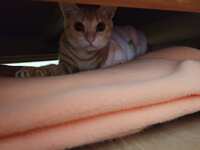 https://images.plurk.com/7LQwNJC7xOxqcboe0ULrmI.jpg