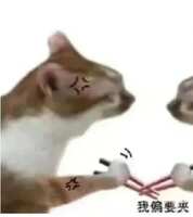 https://images.plurk.com/7LR9F8KlslZAO969XrCuA3.jpg
