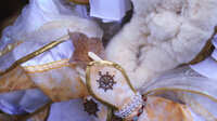 https://images.plurk.com/7LSxHrD8Td0MMddkR98DET.jpg