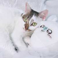 https://images.plurk.com/7LUYQeSqf7HBGRTHm7YqV.jpg