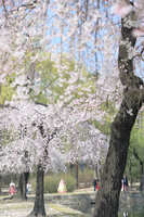 https://images.plurk.com/7LXpMv78Hu7MXU3dcRJMLo.jpg