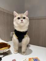 https://images.plurk.com/7Lb0Pt23So8C71SRv5x82g.jpg