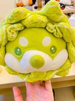https://images.plurk.com/7Lh33h8i7pRgdExKIwqpfY.jpg