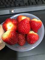 https://images.plurk.com/7LmEHNhlZ8t5QI3xyTauol.jpg