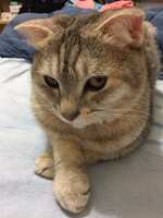 https://images.plurk.com/7Lteuk1TByaFZm8mIXJiaz.jpg