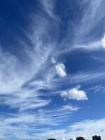 https://images.plurk.com/7LuDXOz03aB8267kFHzynX.jpg