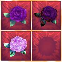 https://images.plurk.com/7Lx4pl0s7AJq3SwlHF1M2n.png