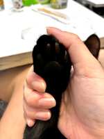 https://images.plurk.com/7LzAqqku2WHjxAJo5iOXNQ.jpg
