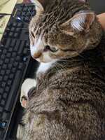 https://images.plurk.com/7M64sm1urvUrukyvrwswO7.jpg