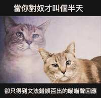 https://images.plurk.com/7M7I0opUG5HAdfb2y9Xa5L.png