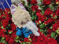 https://images.plurk.com/7M7phdePWhf8dmGg0v5qQQ.jpg
