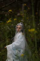 https://images.plurk.com/7M9of25X0qHXoKX3SHwK1U.jpg