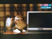 https://images.plurk.com/7MEi2tWIdZTdhi5kHDRgw0.jpg