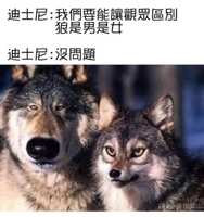 https://images.plurk.com/7MLYnV2CGDrLC8Wuqq0VQ8.jpg