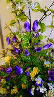 https://images.plurk.com/7MSZQLkMfxXdRSit5ZBxy.jpg