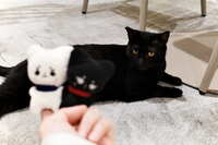 https://images.plurk.com/7MaRNSlw3xAuvxPlbldX8w.jpg