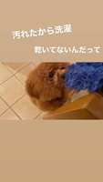 https://images.plurk.com/7Mcp4X0Ab4YyAJlqmab4Xc.jpg