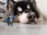 https://images.plurk.com/7MewR1hC4zmzAHVWkmwrIW.jpg