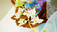 https://images.plurk.com/7MiSdkFu7B5kswF5nDZKbQ.jpg