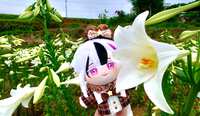 https://images.plurk.com/7MkuZg6P7GJ8LtcwxR8fnt.png
