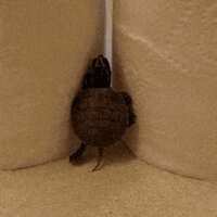 https://images.plurk.com/7MlNxaGzNsiFF1xtG92vjD.gif
